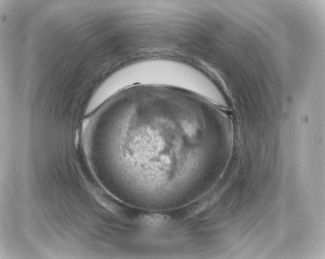 X0000087590069200705112313