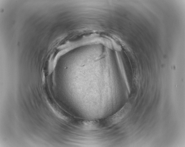 X0000087590070200705112314