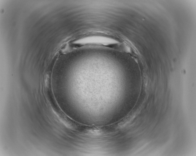 X0000087590071200705112314