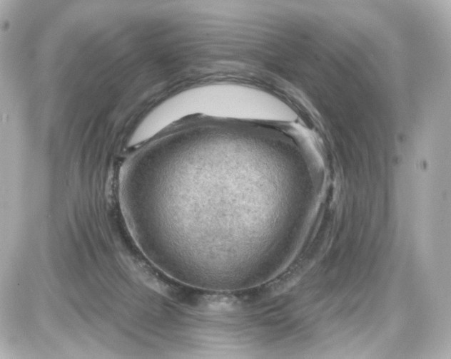 X0000087590073200705112314