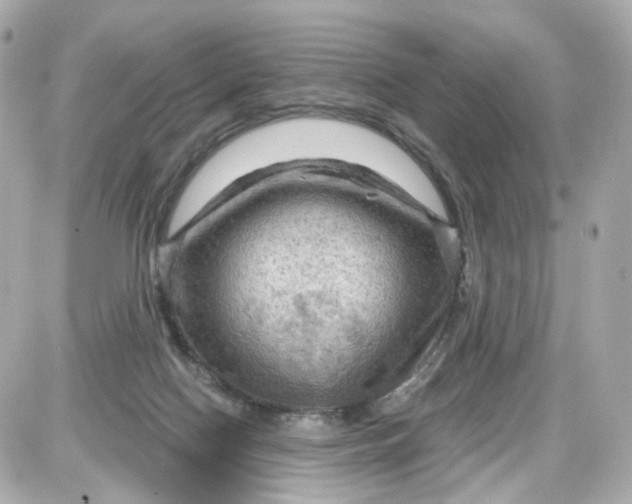 X0000087590074200705112314