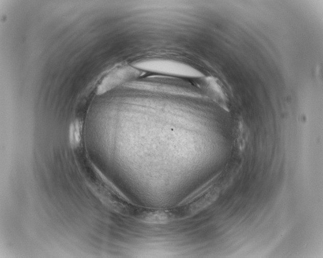 X0000087590075200705112314