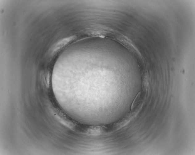 X0000087590076200705112314