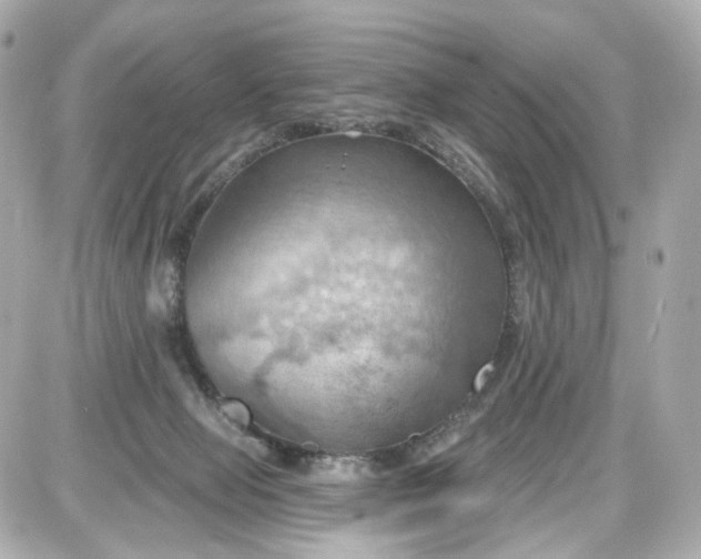 X0000087590077200705112314