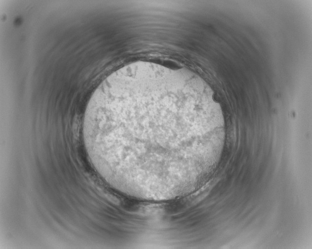 X0000087590078200705112314