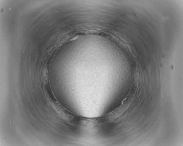 X0000087590079200705112314