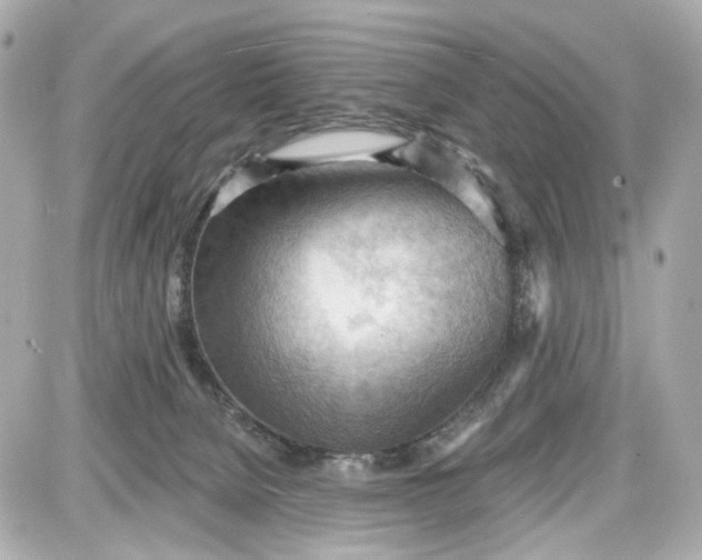 X0000087590080200705112314