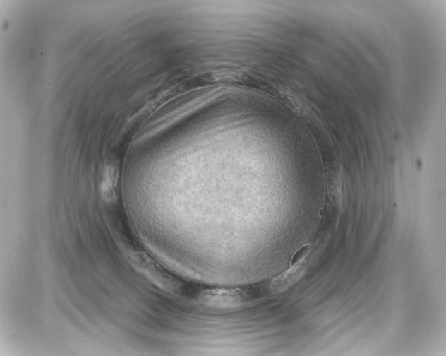 X0000087590082200705112314