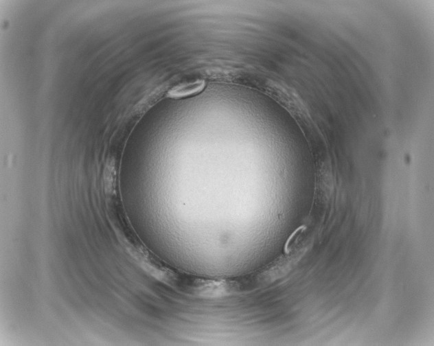 X0000087590083200705112314