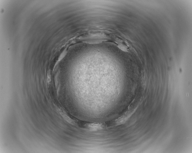 X0000087590085200705112314