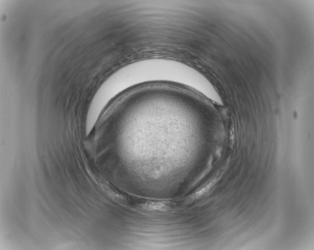 X0000087590086200705112314