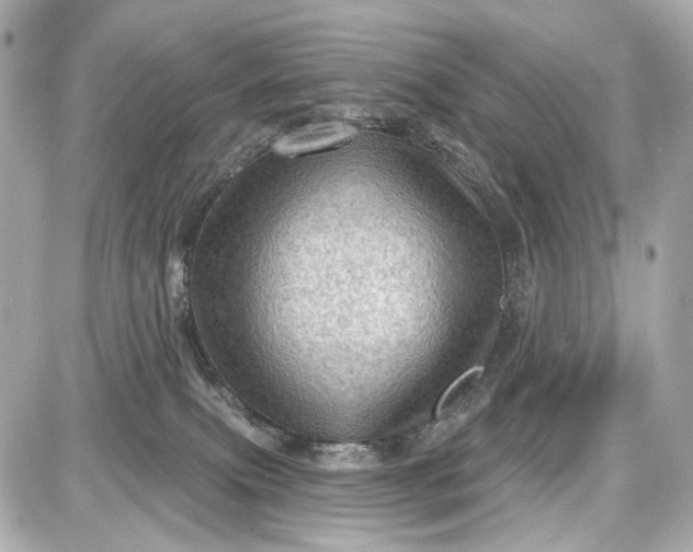 X0000087590087200705112314