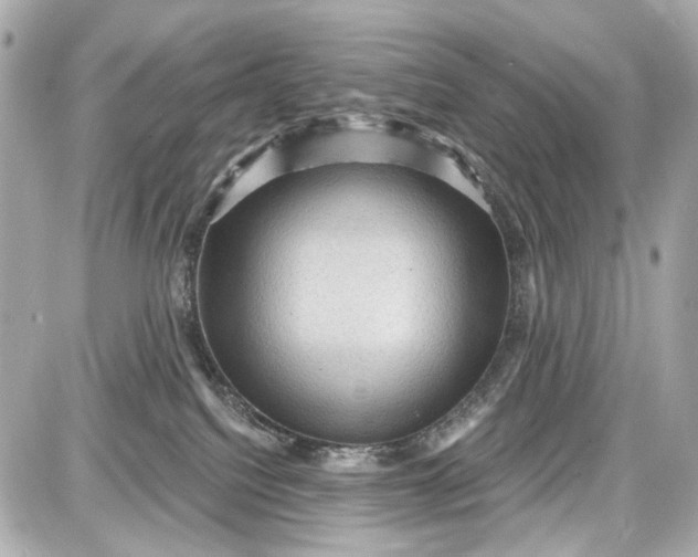 X0000087590088200705112314