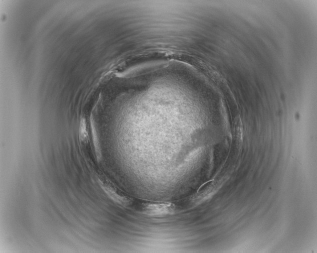 X0000087590089200705112314