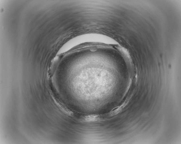 X0000087590090200705112314