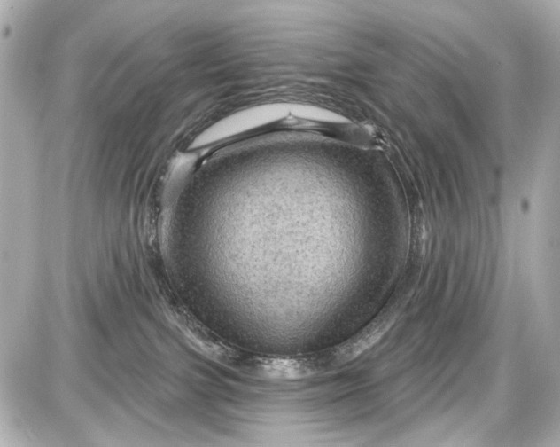 X0000087590091200705112314