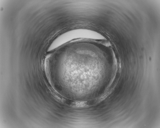 X0000087590093200705112314