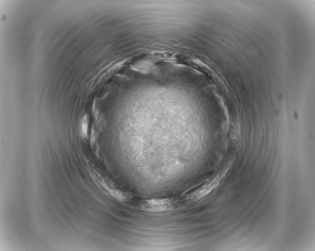 X0000087590095200705112314