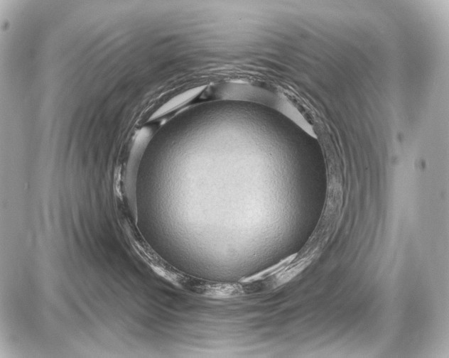 X0000087590096200705112314