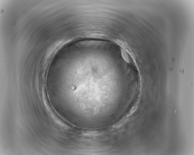 X0000087590097200705112313