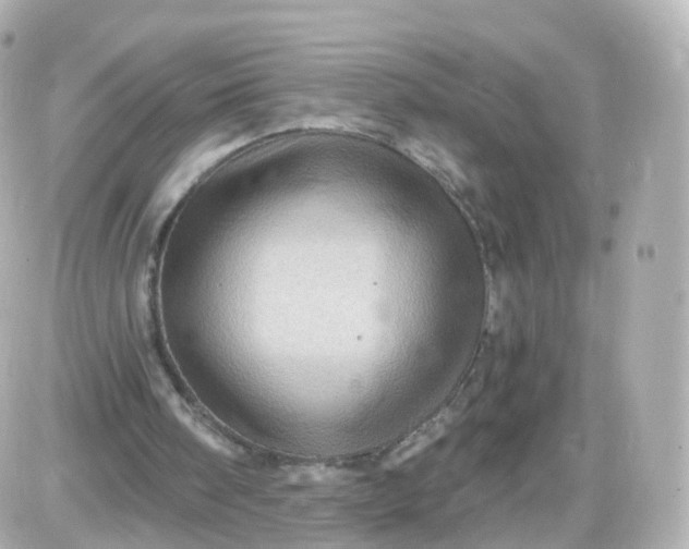 X0000087590098200705112313