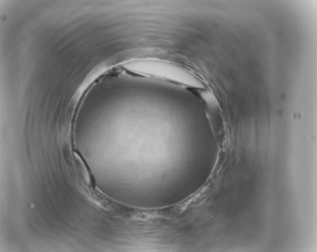 X0000087590099200705112313