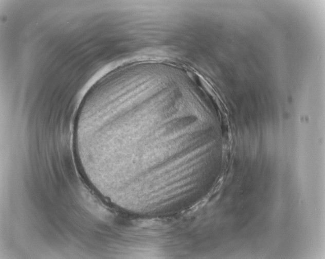 X0000087590100200705112313