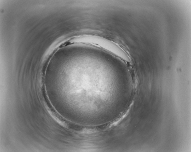 X0000087590101200705112313