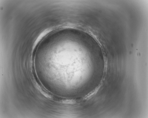 X0000087590102200705112313