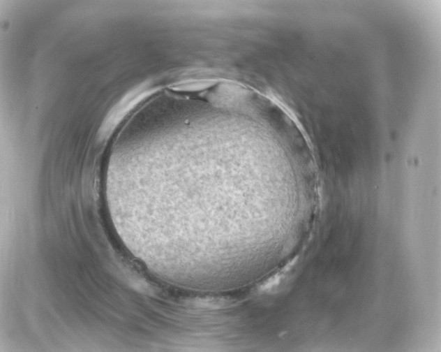 X0000087590103200705112313