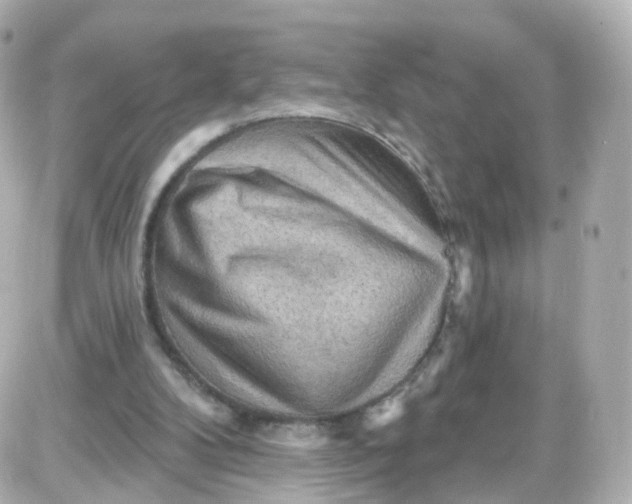 X0000087590104200705112313