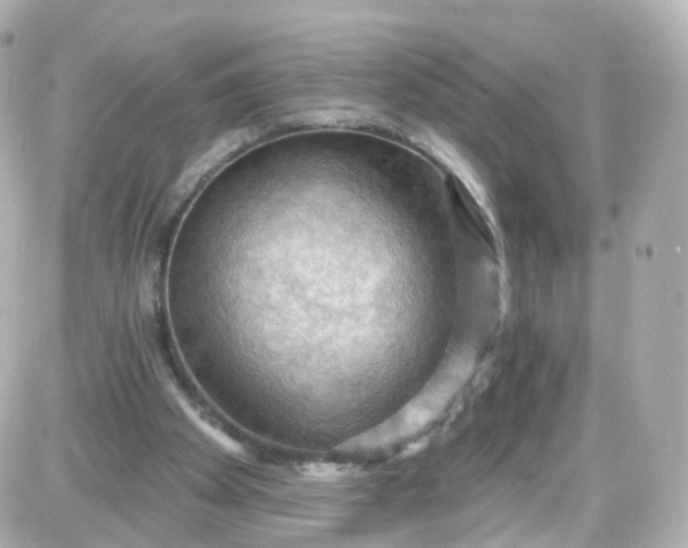 X0000087590105200705112313