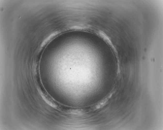 X0000087590106200705112313