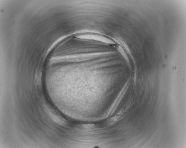 X0000087590108200705112313