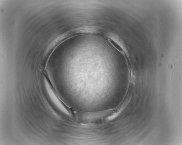 X0000087590109200705112313