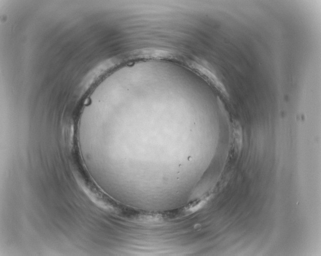 X0000087590110200705112313