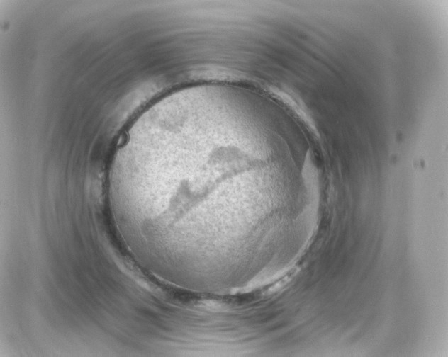 X0000087590111200705112313