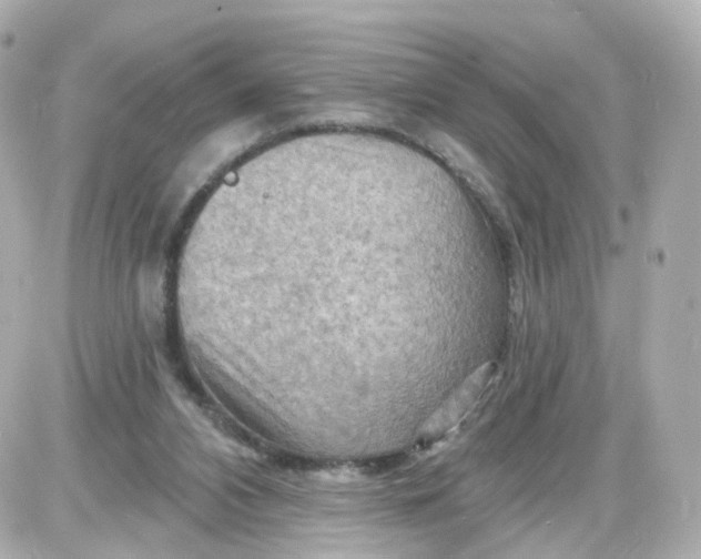 X0000087590112200705112313