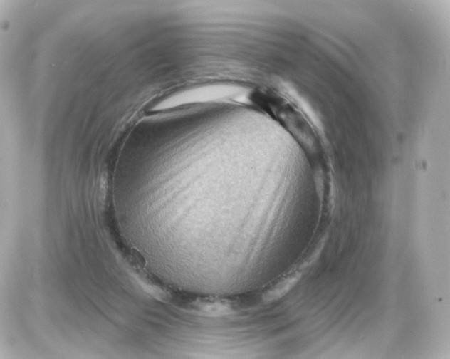 X0000087590113200705112313