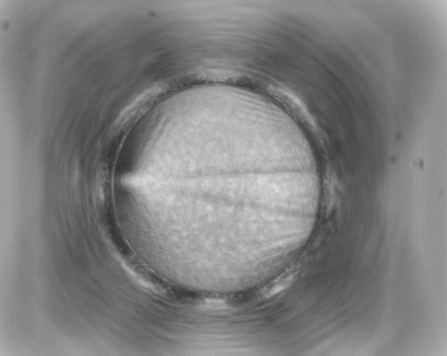 X0000087590114200705112313