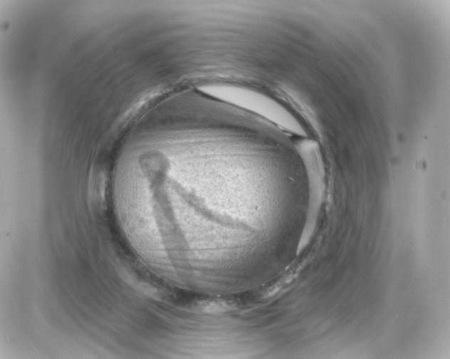 X0000087590115200705112313