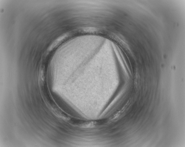 X0000087590116200705112313