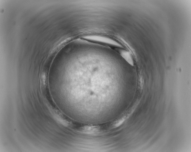 X0000087590117200705112313