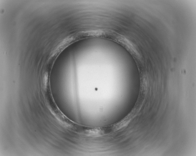 X0000087590118200705112313