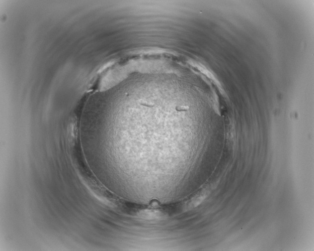 X0000087590119200705112313