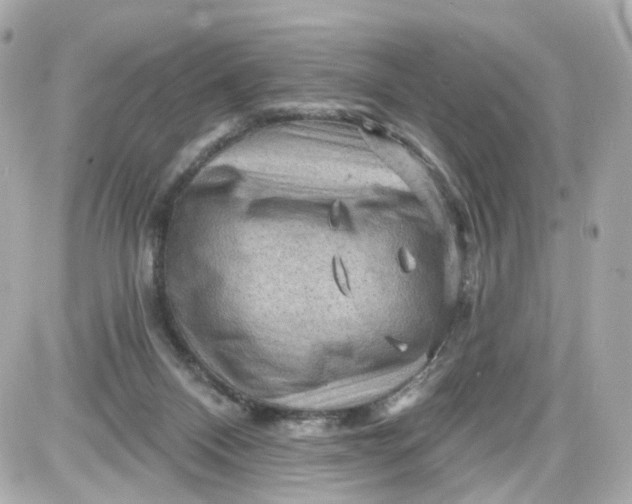 X0000087590120200705112313