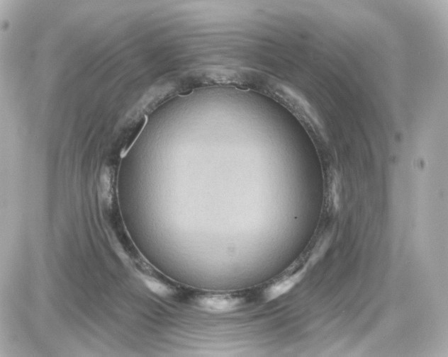 X0000087590121200705112313