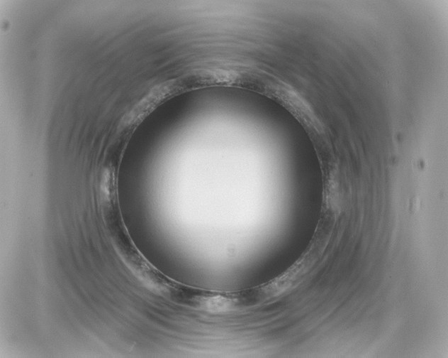 X0000087590122200705112313