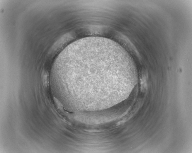 X0000087590123200705112313