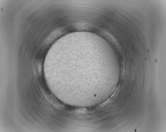 X0000087590124200705112313